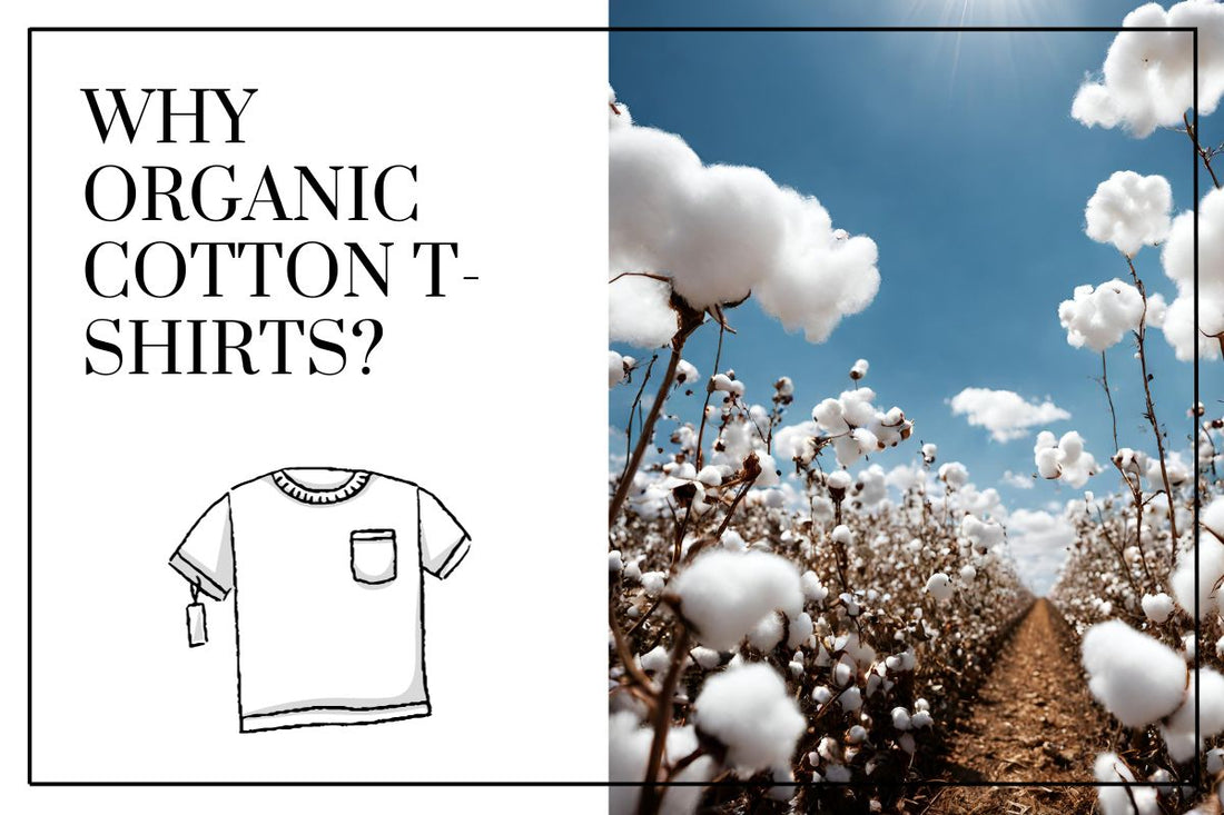 Why Organic Cotton T Shirts?