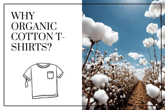 Why Organic Cotton T Shirts?