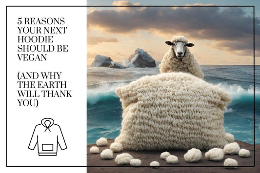 Sheep standing in the oceans with a bag of wool in front of them.
