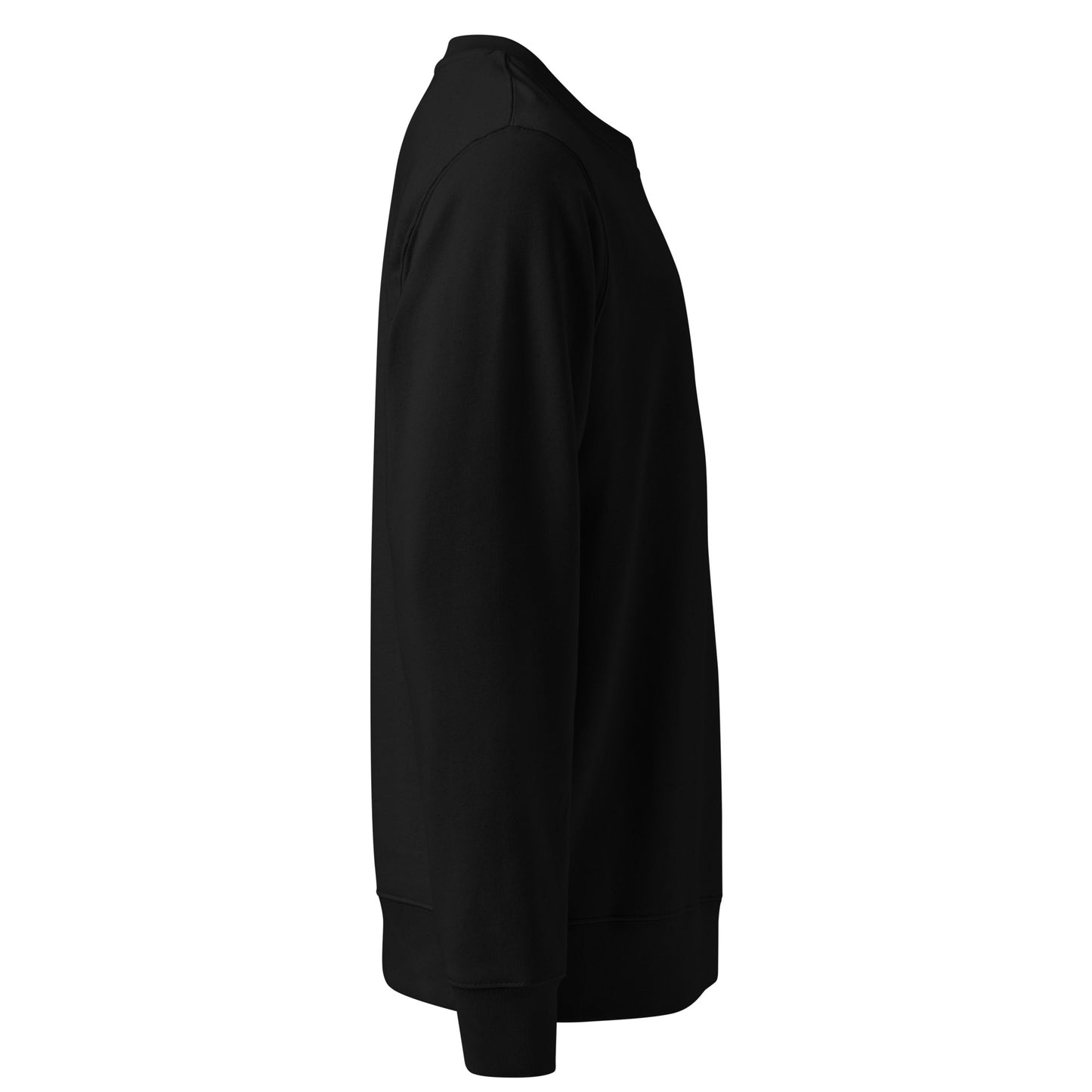 Vegan Sustainable Jumper in black right