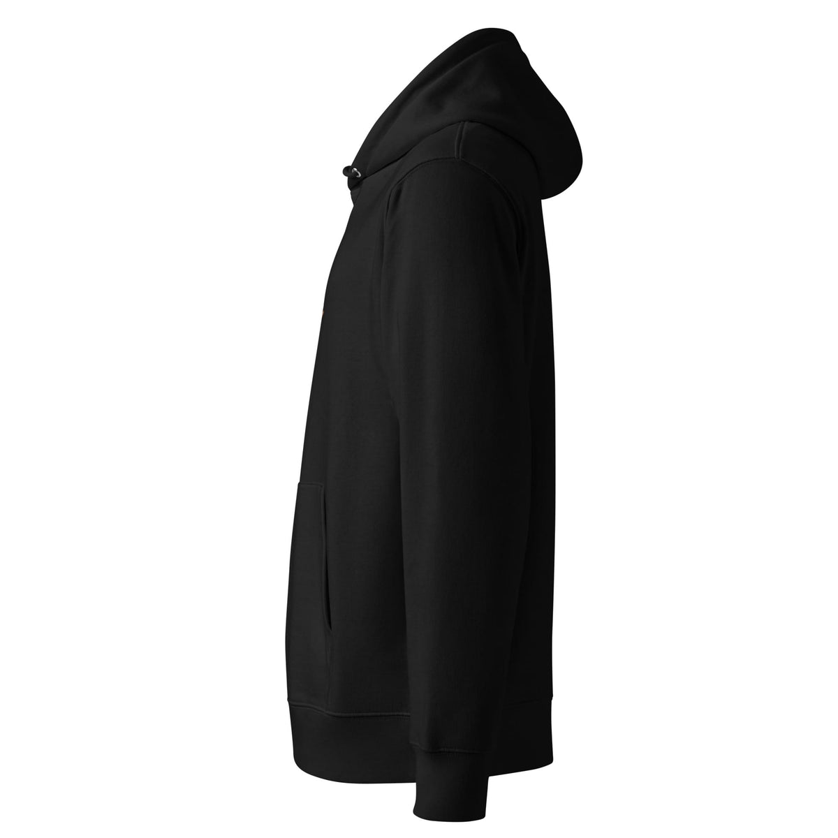Chameleon Bagpiper | Sustainable Hoodie in black left