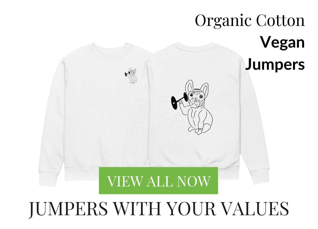 Organic Cotton Vegan Jumpers