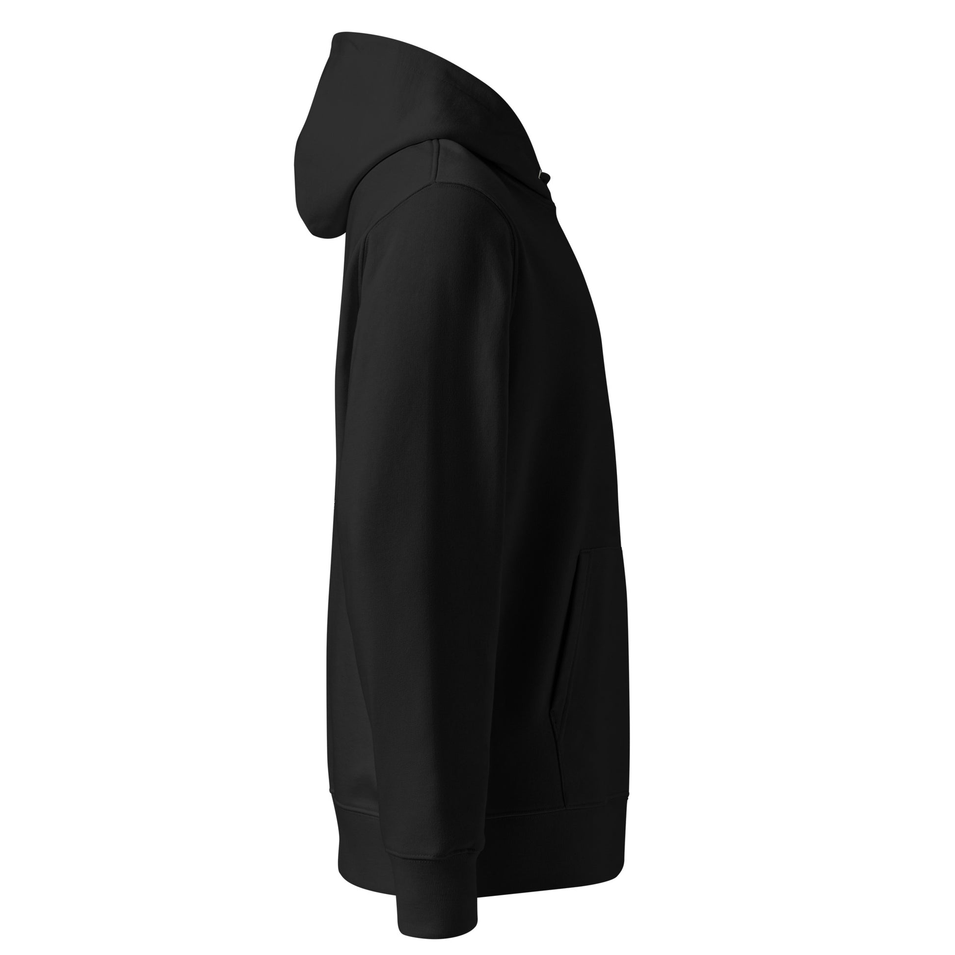 Dragon Dance, Yin and Yang | Sustainable Hoodie in black right view